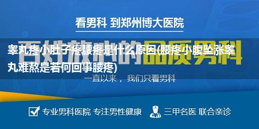 睾丸疼小肚子疼腰疼是什么原因(腰疼小腹坠涨睾丸难熬是若何回事腰疼