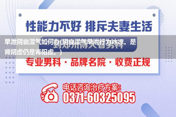 早泄阴囊湿气如何办(阴囊湿气早泄行为冰凉。是肾阴虚仍是肾阳虚。)